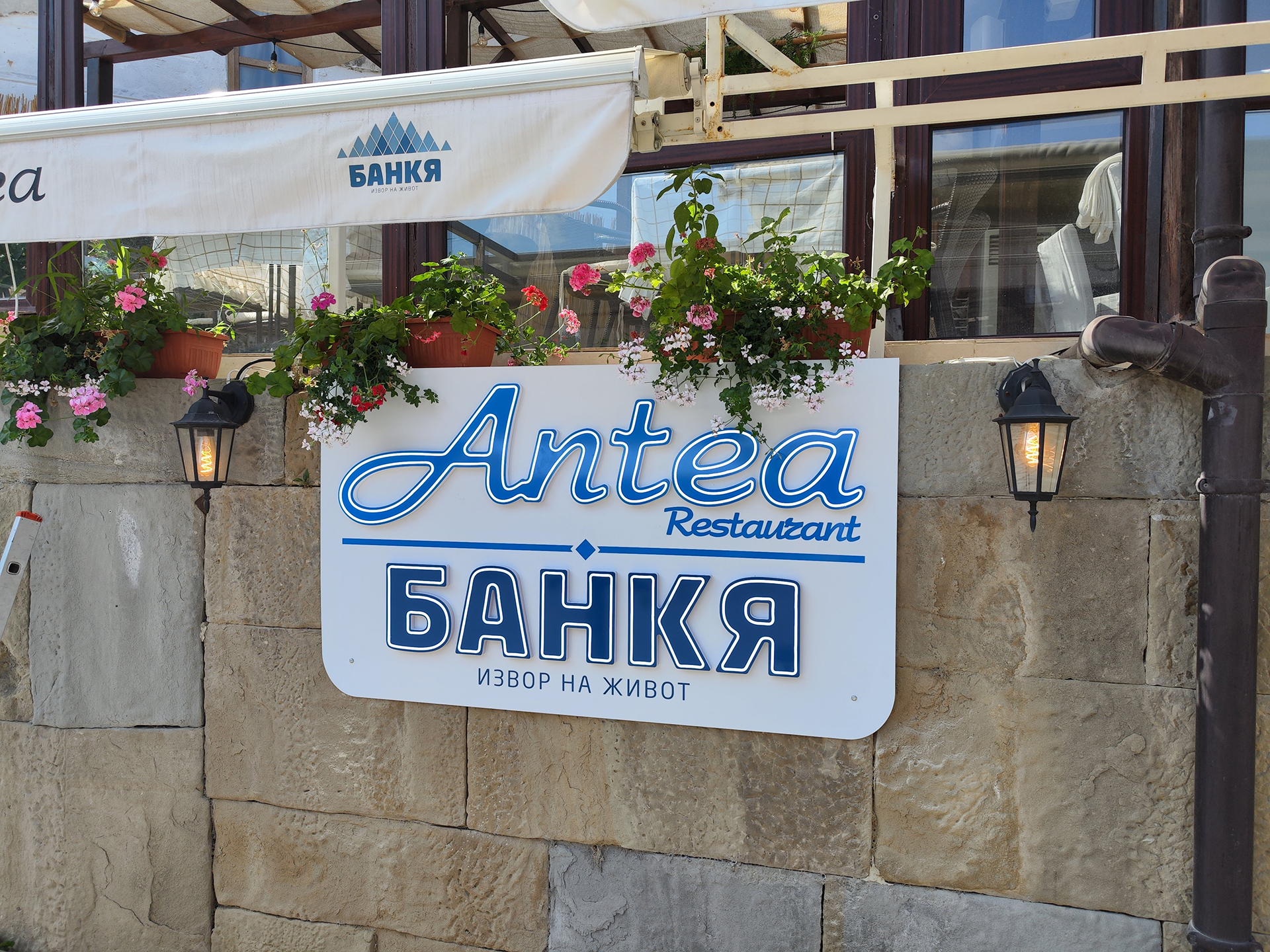 Antea